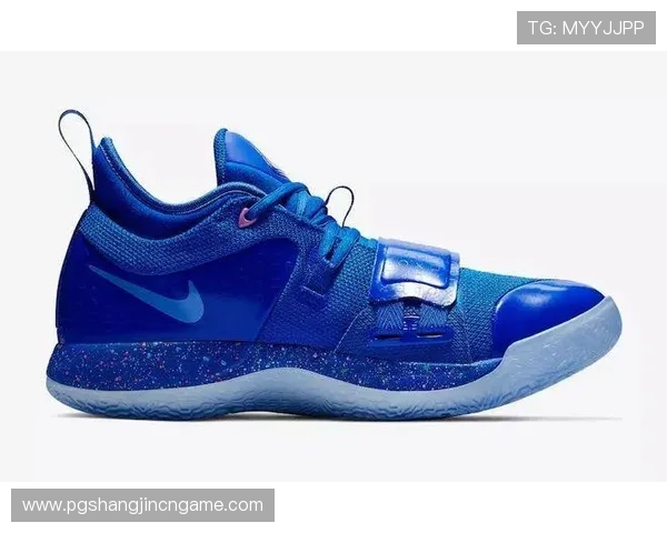 PG2亮灯提示更换电池的常见原因及正确的更换方法,延长设备使用寿命